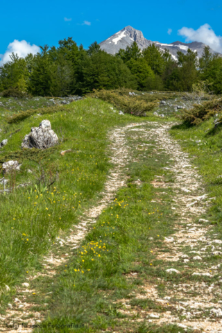 Gran Sasso - Voltigno: Monte Camicia