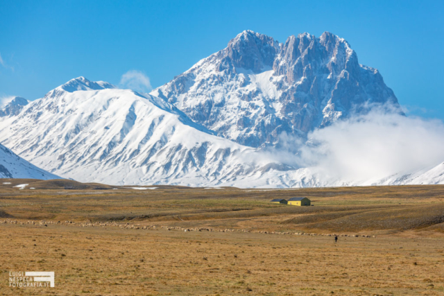 Pastorizia a Campo Imperatore - Prima neve - Parco nazionale del Gran Sasso