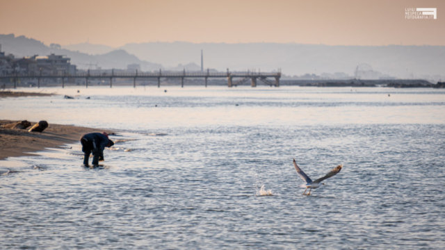 Francavilla al Mare - la piccola pesca verso la FASE II